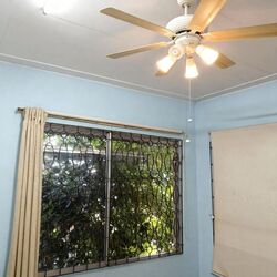 South Buona Vista Road (D5), Semi-Detached #495982801